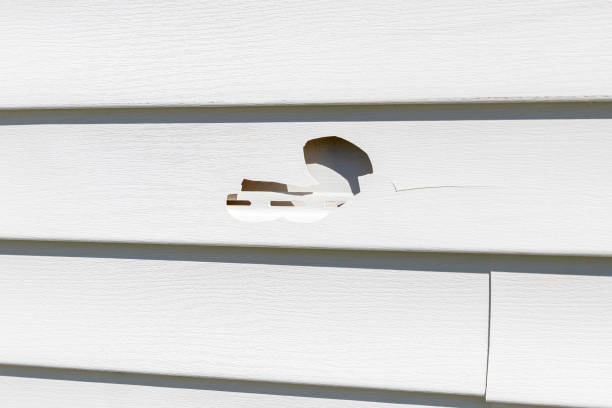 Best Construction Debris Removal  in Lewiston, CA