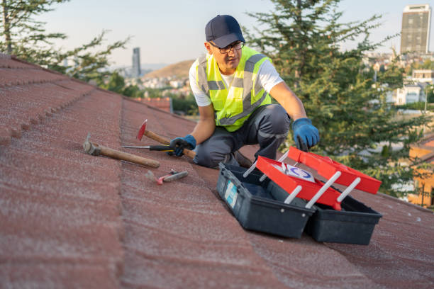 Demolition Debris Removal in Lewiston, CA
